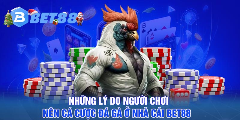 Những lý do người chơi nên cá cược đá gà ở nhà cái BET88